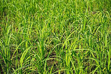 发售不到半年 《华纳大乱斗》Steam玩家数量断崖式下跌